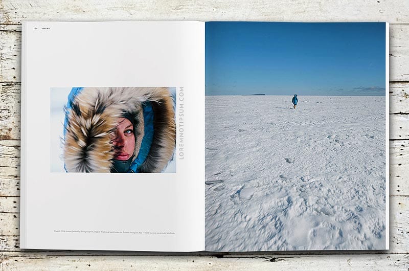 Avaunt Magazine Issue 6 – loremnotipsum.com