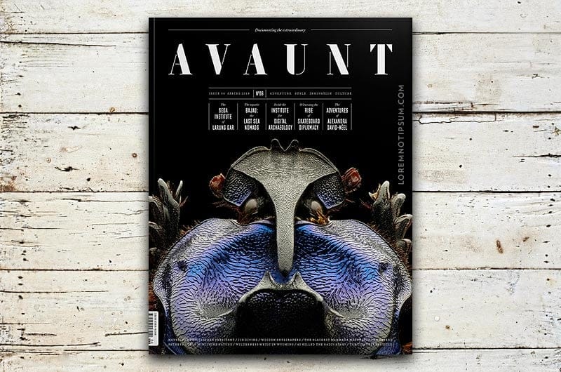 Avaunt Magazine Issue 6 – loremnotipsum.com