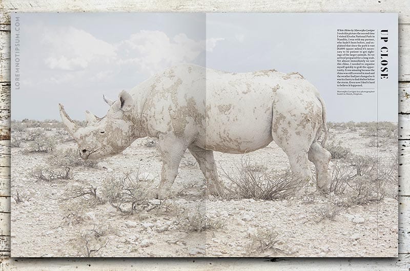 AVAUNT Magazine Issue 9 – loremnotipsum.com