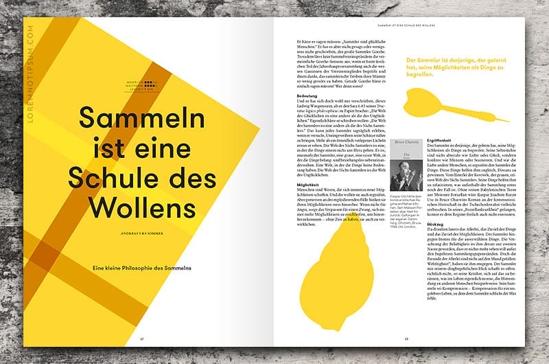 Avenue Magazin Nr. 7 – loremnotipsum.com