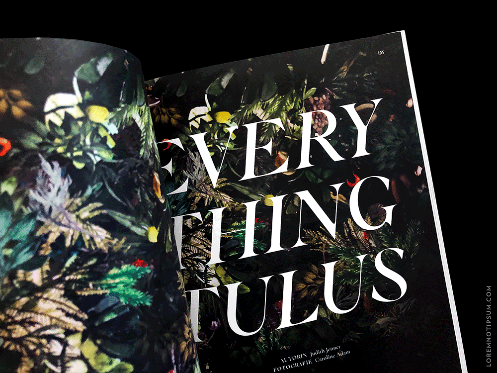 Cocktailian Bookazine Edition 1 – loremnotipsum.com