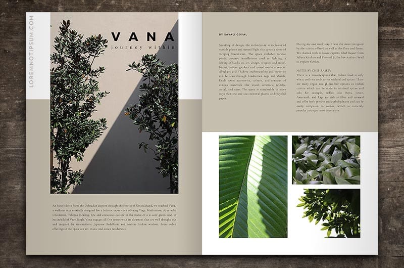 Cocoa and Jasmine Magazine Issue 2 – loremnotipsum.com