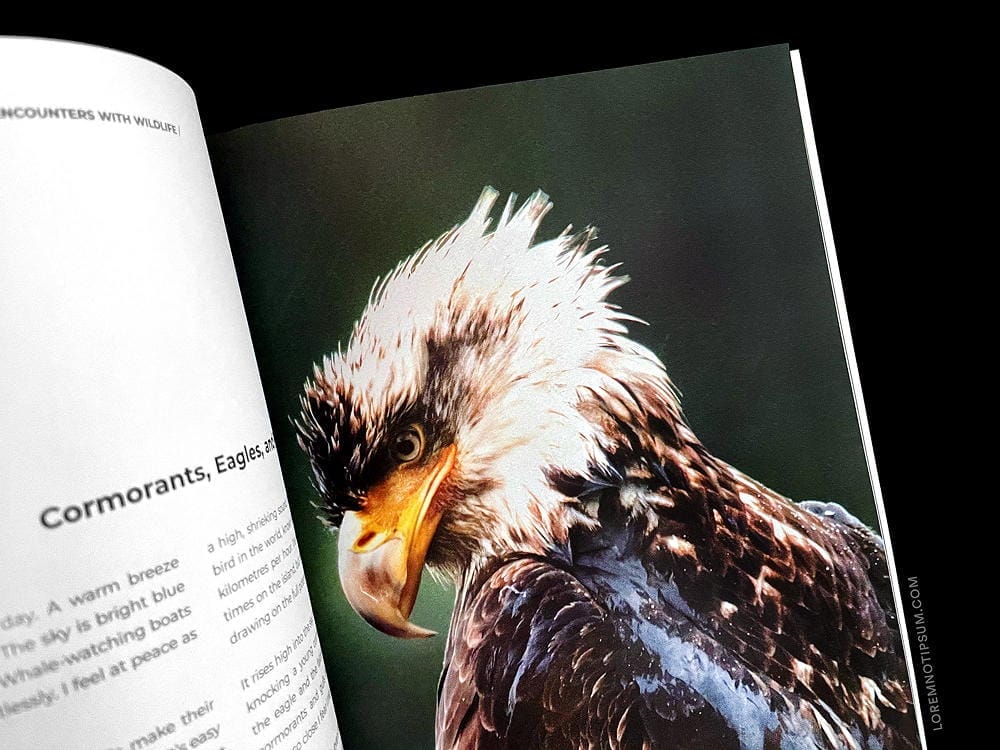 Folklife Magazine Volume 2 – loremnotipsum.com