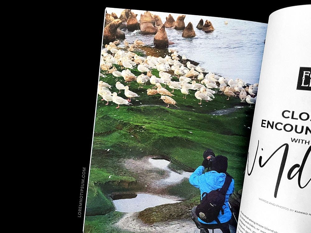 Folklife Magazine Volume 2 – loremnotipsum.com