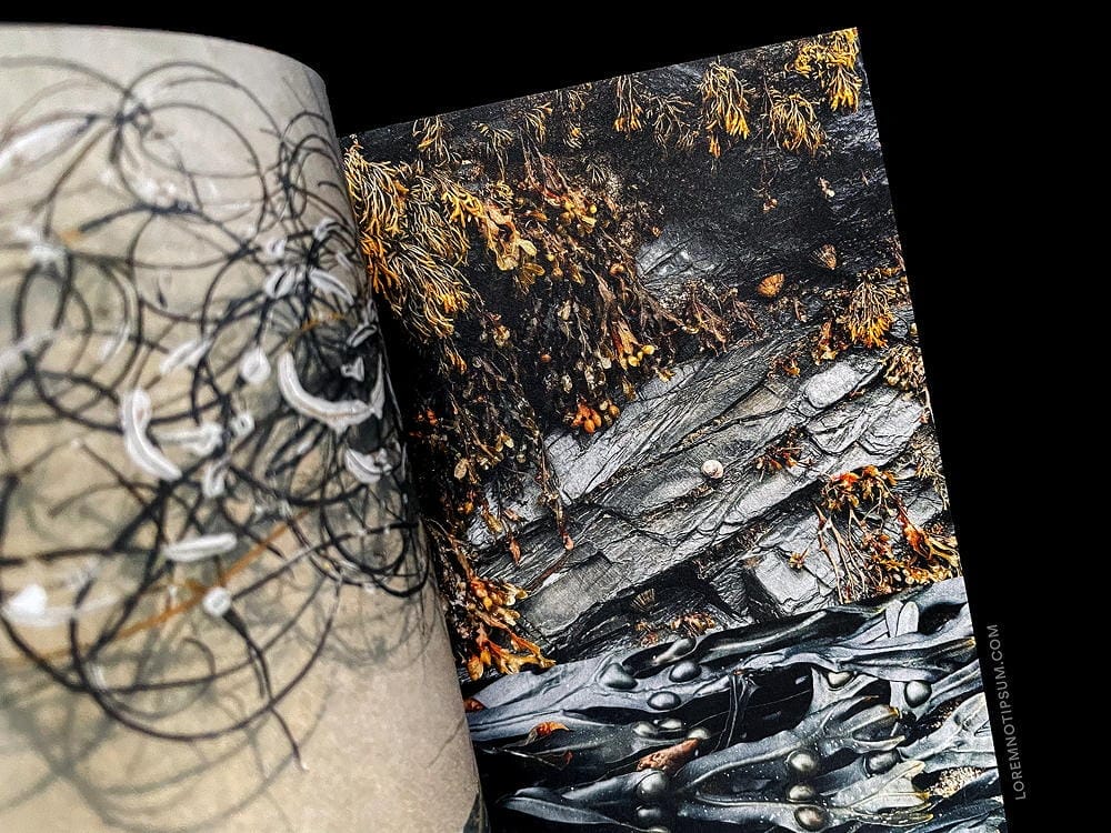 Haarkon Adventures Cornwall – loremnotipsum.com