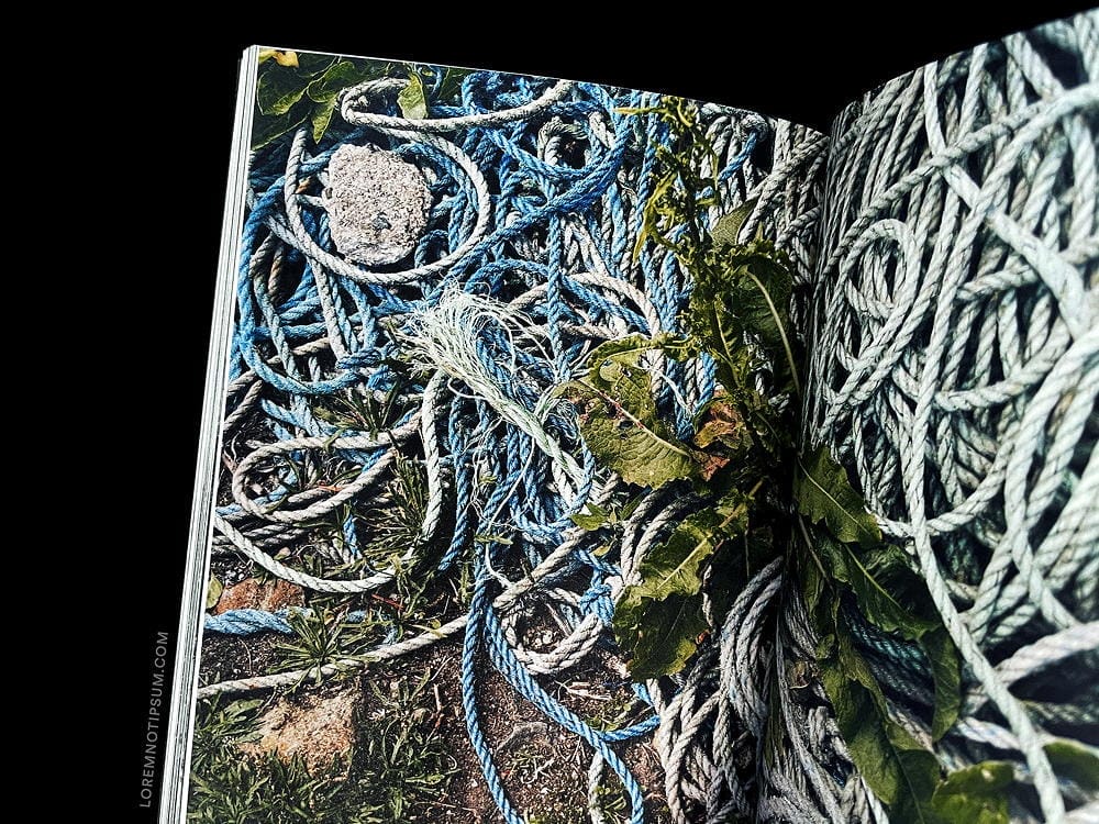 Haarkon Adventures Cornwall – loremnotipsum.com