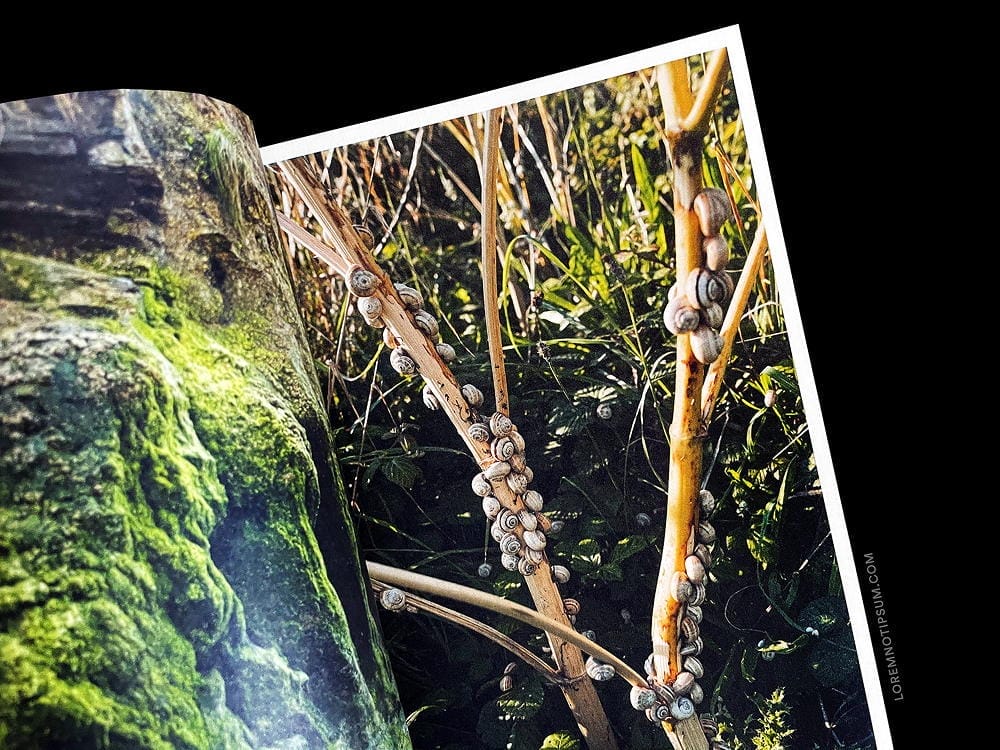 Haarkon Adventures Cornwall – loremnotipsum.com