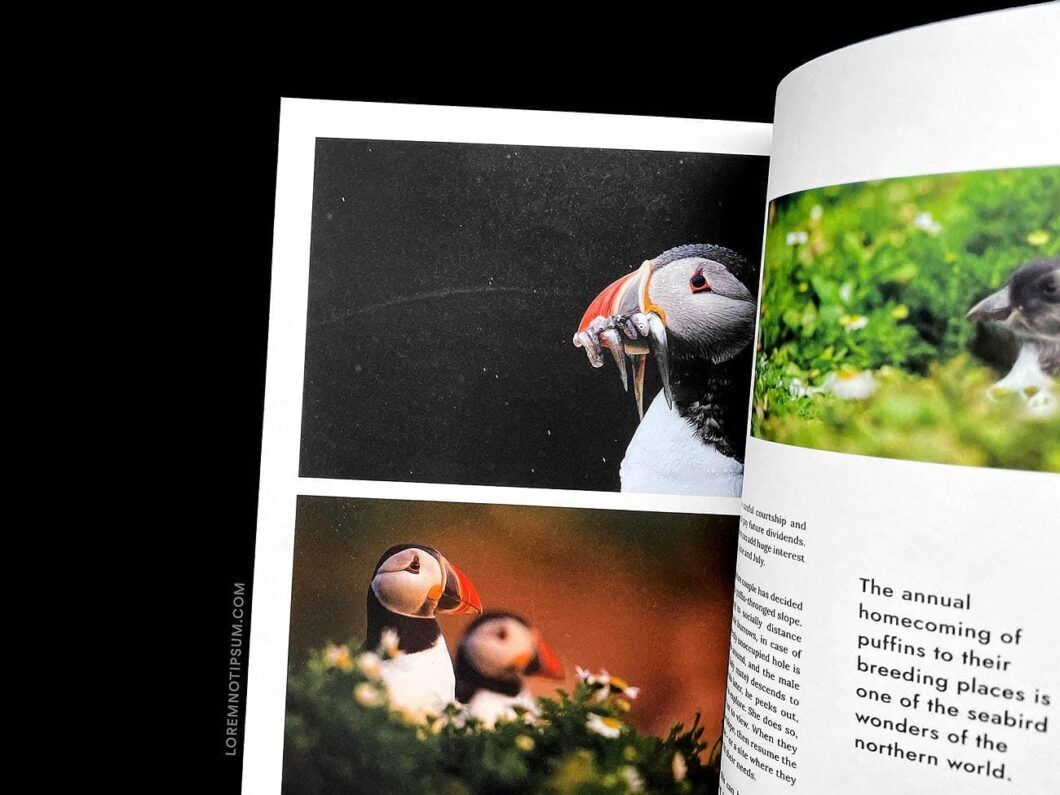 Hidden Scotland Magazine Issue 2 – loremnotipsum.com