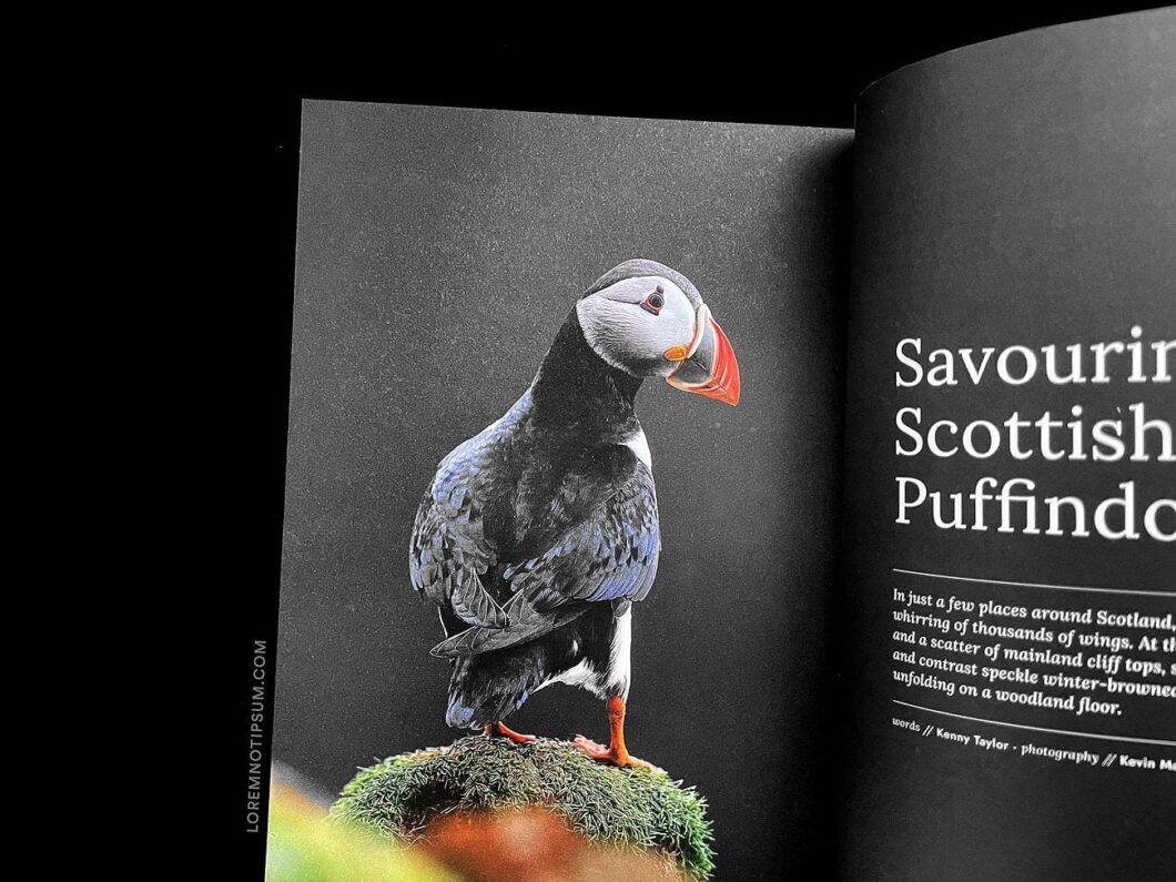 Hidden Scotland Magazine Issue 2 – loremnotipsum.com