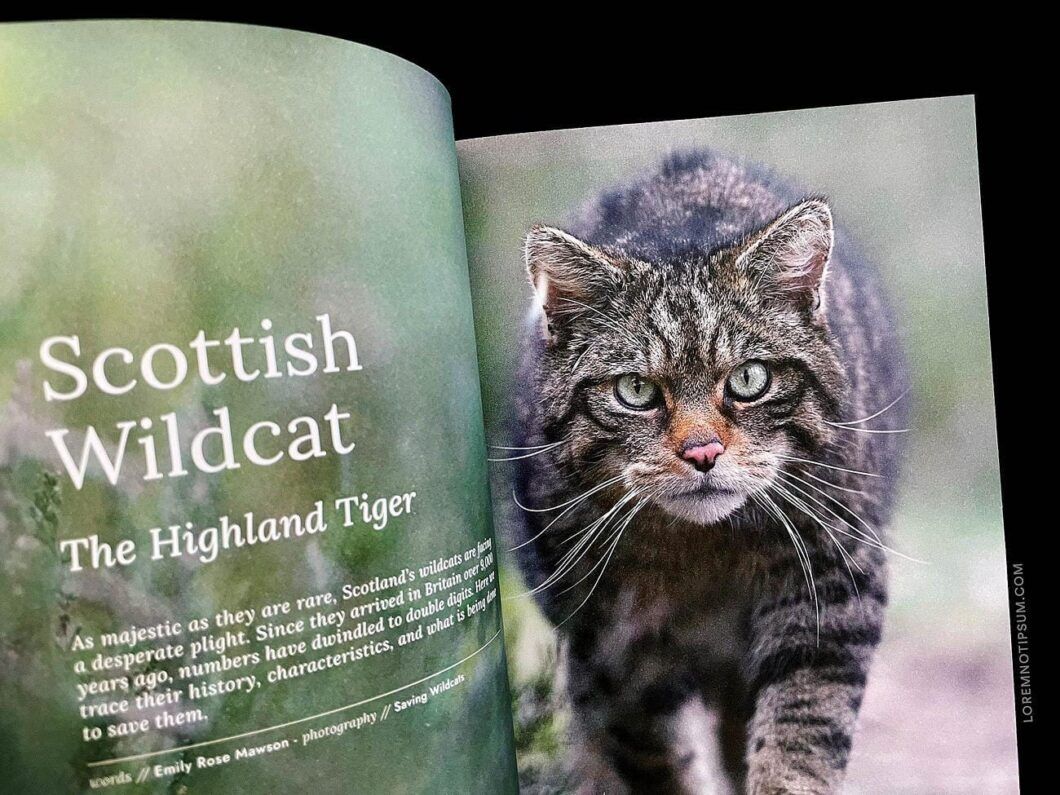 Hidden Scotland Magazine Issue 2 – loremnotipsum.com