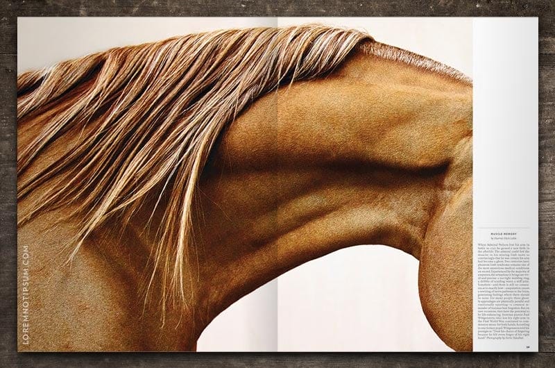 Kinfolk Magazine Issue 28 – loremnotipsum.com