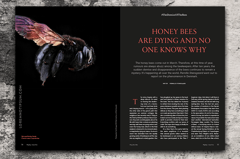 Mayday Magazine Issue 1 – loremnotipsum.com