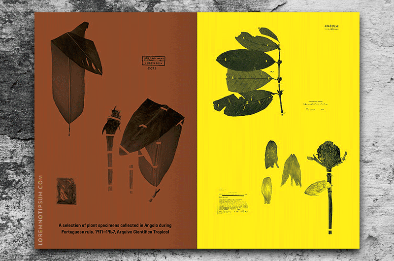 Nansen Magazine Issue 2 – loremnotipsum.com