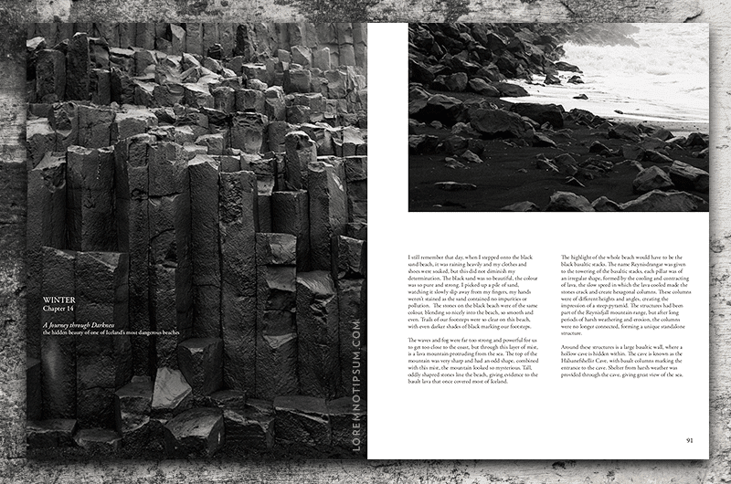 New Norm Magazine Issue 1 – loremnotipsum.com