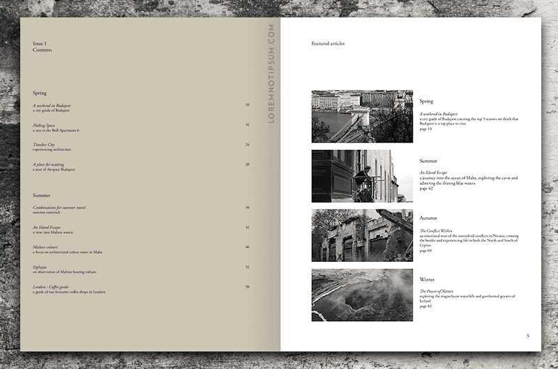 New Norm Magazine Issue 1 – loremnotipsum.com