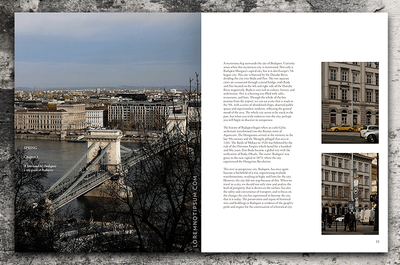 New Norm Magazine Issue 1 – loremnotipsum.com