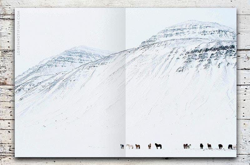 Northletters Magazine Volume 1 – loremnotipsum.com