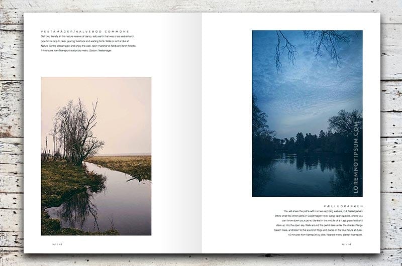 Northletters Magazine Volume 1 – loremnotipsum.com