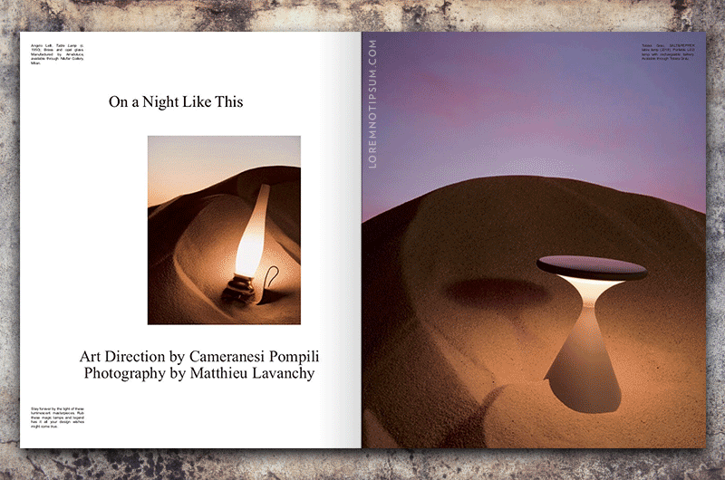 PIN-UP Magazine Issue 26 – loremnotipsum.com