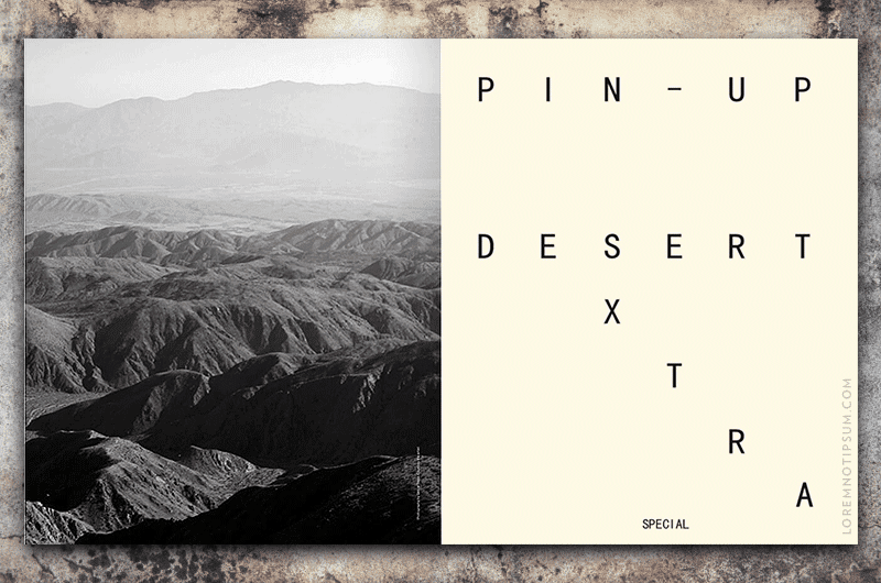 PIN-UP Magazine Issue 26 – loremnotipsum.com