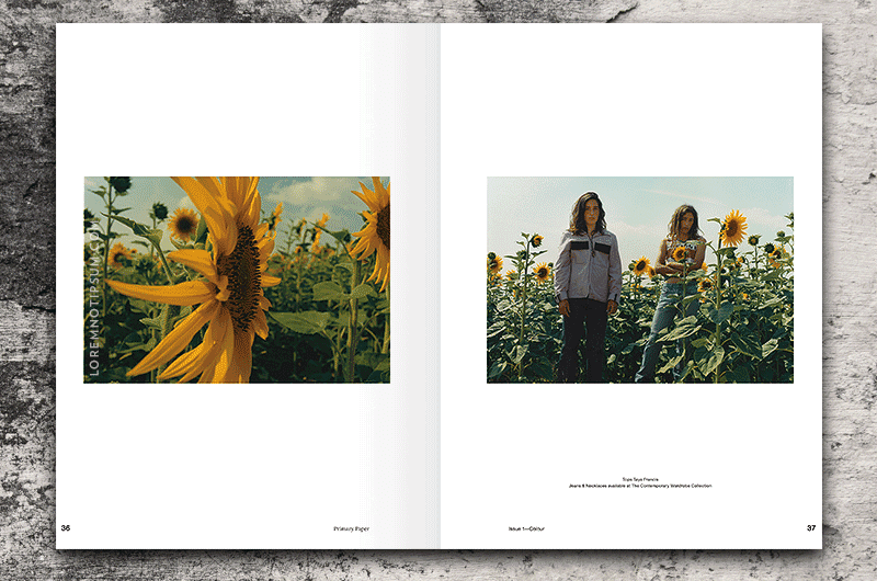 Primary Paper Magazine Issue 1 (Colour) – loremnotipsum.com