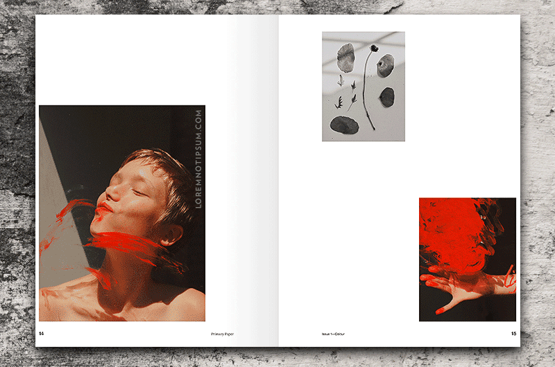 Primary Paper Magazine Issue 1 (Colour) – loremnotipsum.com