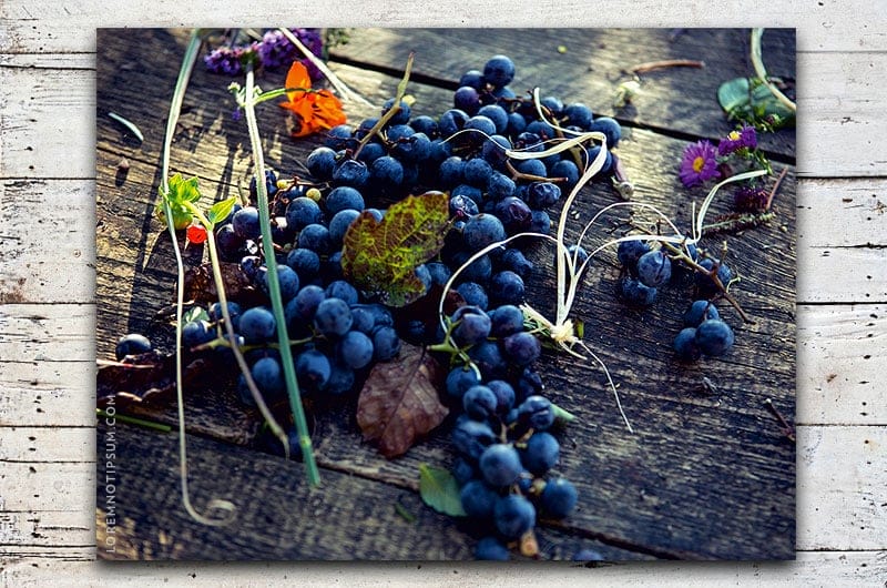 Eat Hike Live (der Steiermark-Resieführer) – loremnotipsum.com