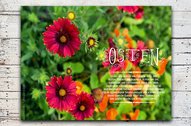 Eat Hike Live (der Steiermark-Resieführer) – loremnotipsum.com