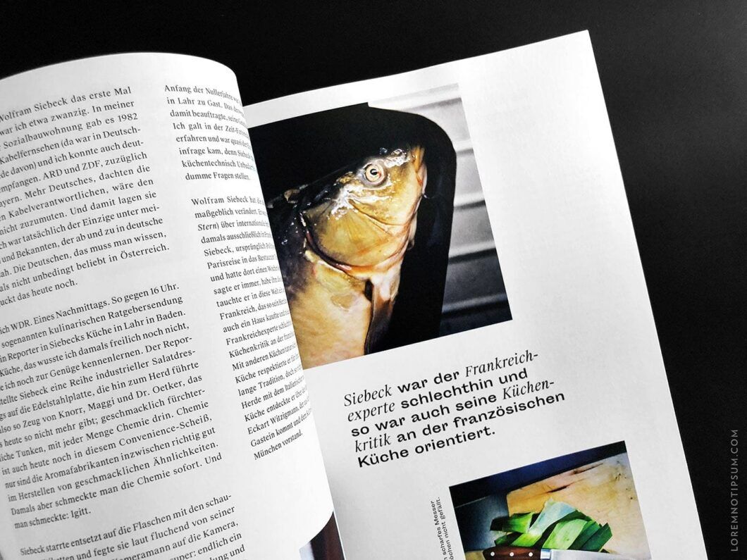 Schluck Magazin Nr. 6 – loremnotipsum.com