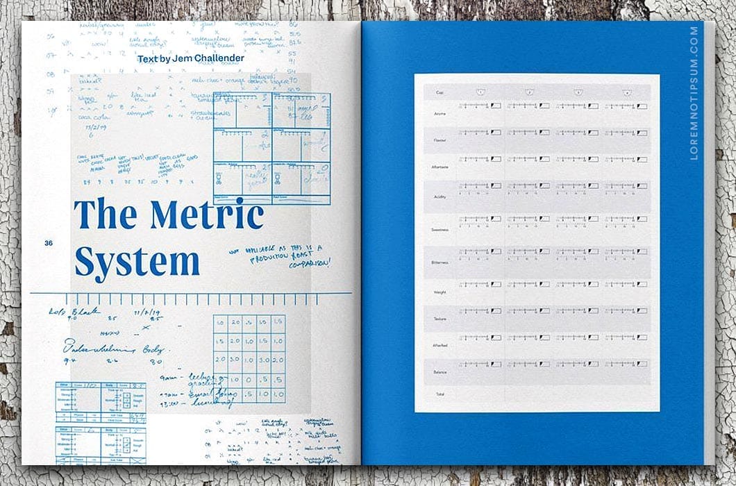 Standart Magazine Issue 19 – loremnotipsum.com
