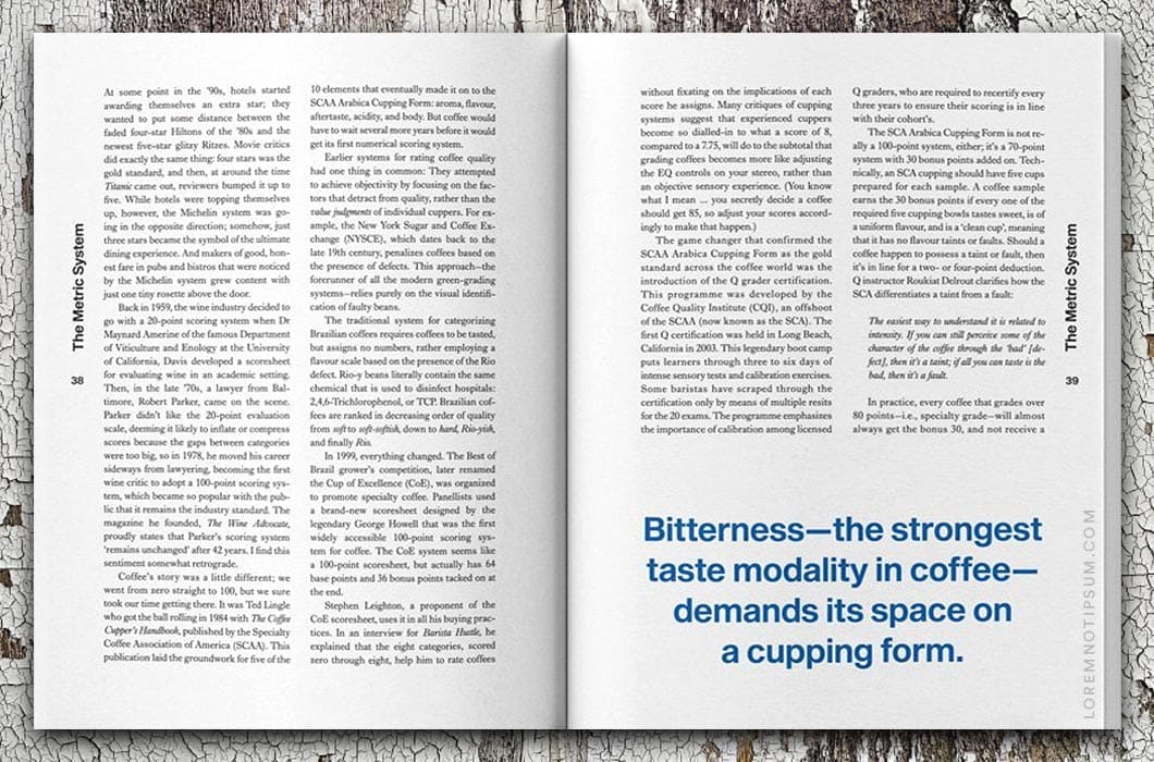 Standart Magazine Issue 19 – loremnotipsum.com