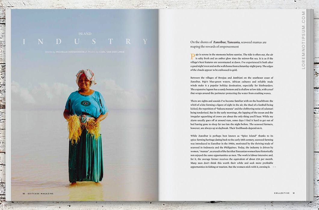 Suitcase Magazine Volume 33 (the Collective Issue) – loremnotipsum.com