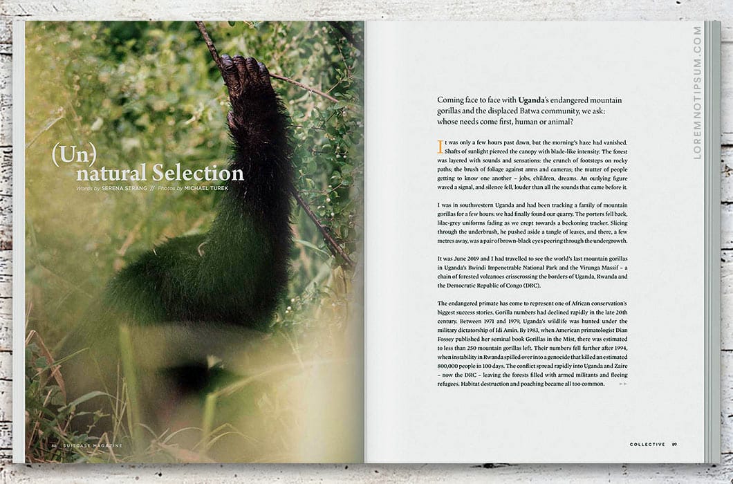 Suitcase Magazine Volume 33 (the Collective Issue) – loremnotipsum.com