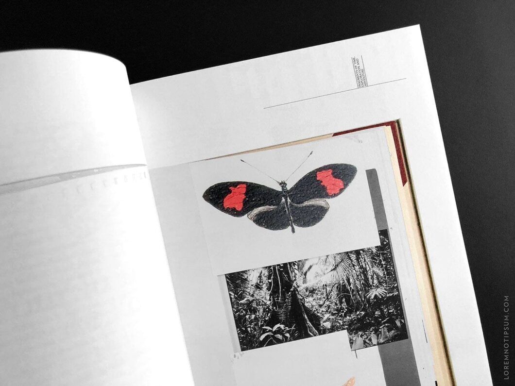 The Shelf Journal Issue 1 – loremnotipsum.com