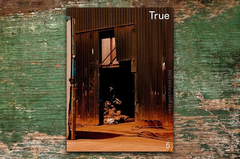 True Magazine Issue 5 – loremnotipsum.com