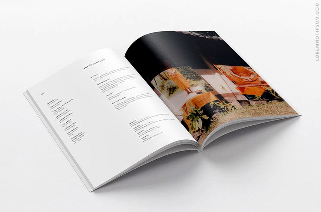 Whitelies Magazine Issue 7 (Transformation) – loremnotipsum.com