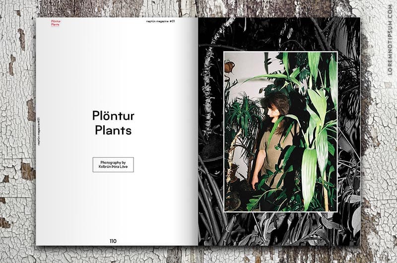 neptun-magazine_issue01_06