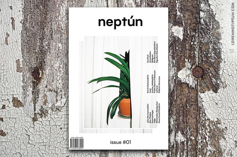 neptun-magazine_issue01_cover