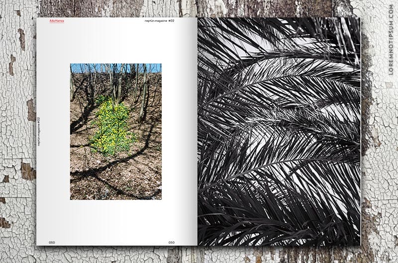 neptun-magazine_issue02_03