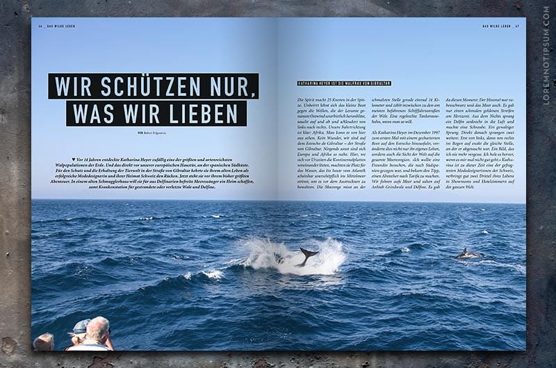 paeng-magazin_003_09