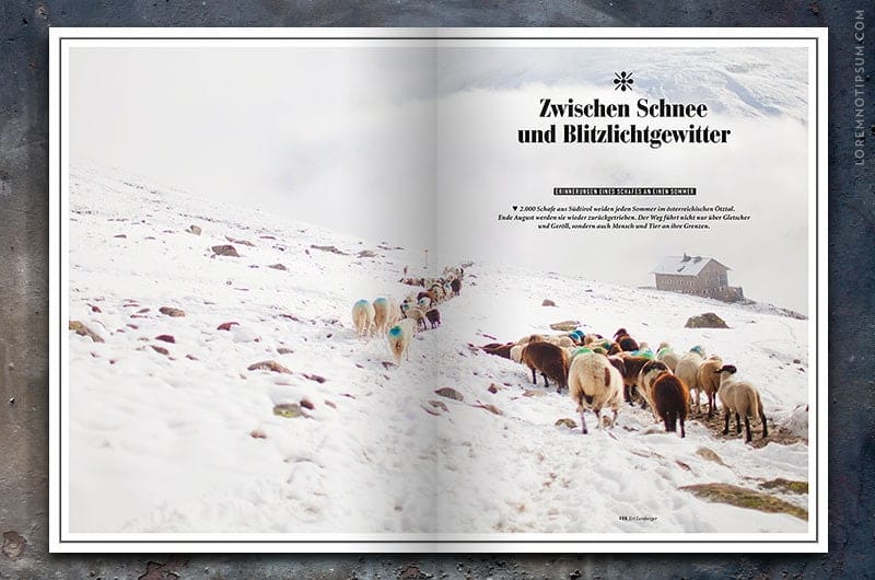 paeng-magazin_003_10