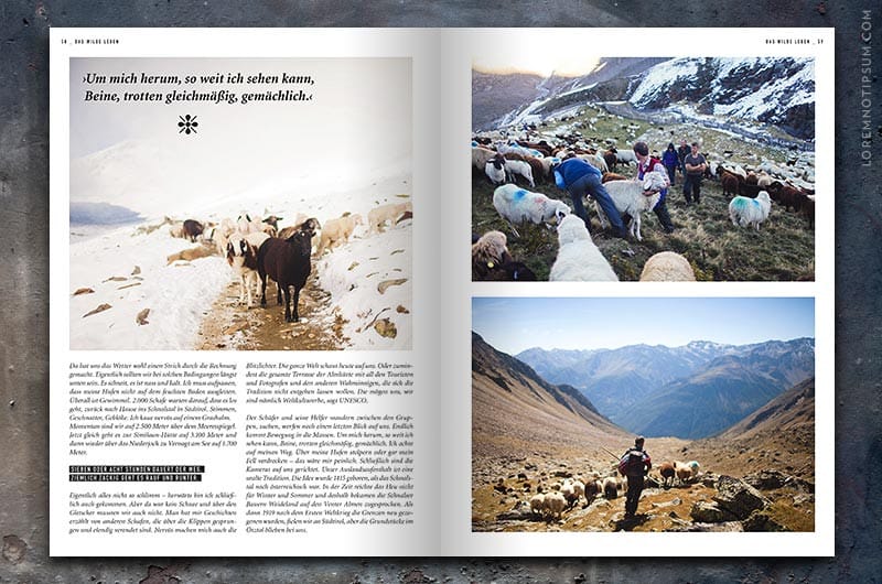 paeng-magazin_003_11