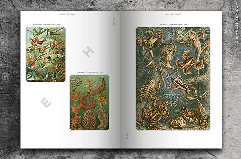 printed-pages_magazine_006_04