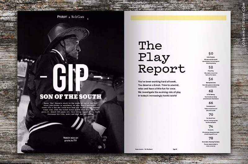 protein-journal_issue13_08