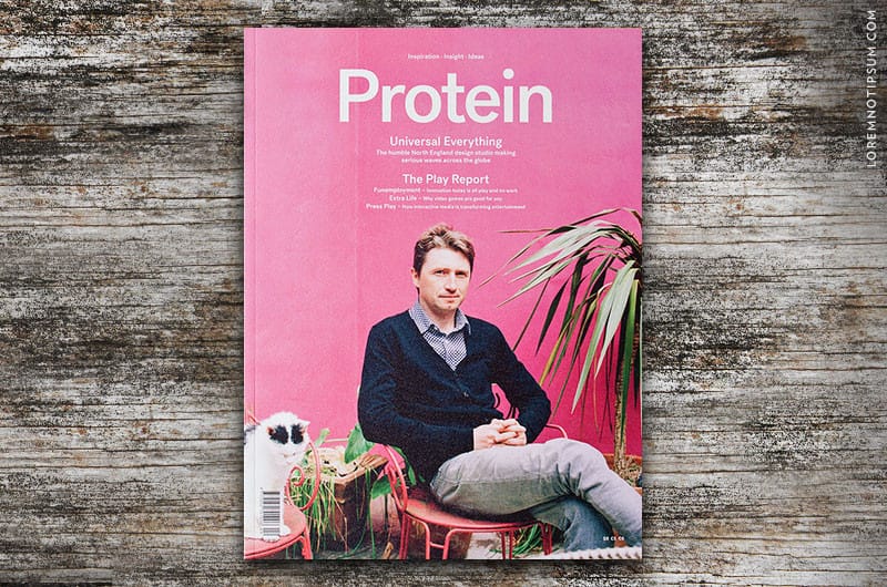 protein-journal_issue13_cover