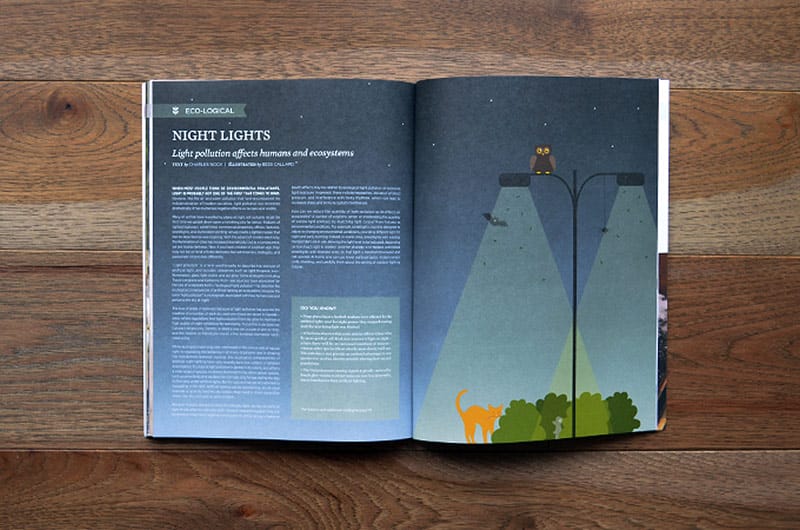 pure-green-magazine_issue3_10