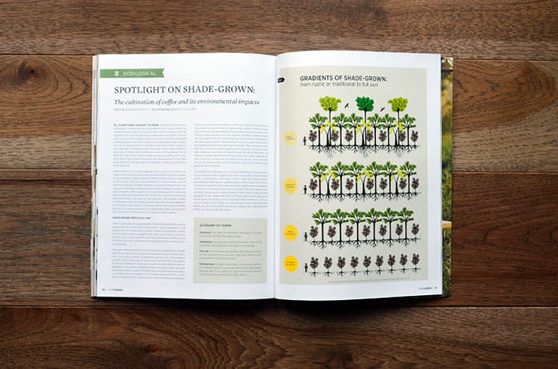 pure-green-magazine_issue4_08