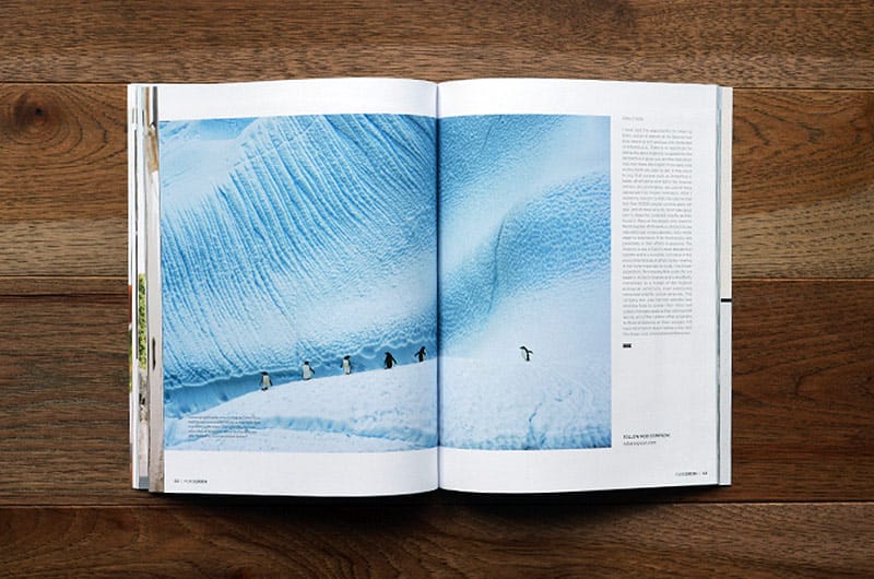 pure-green-magazine_issue5_09