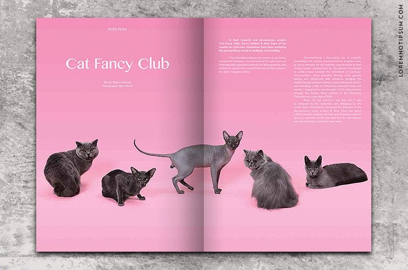 puss-puss-magazine_issue01_01