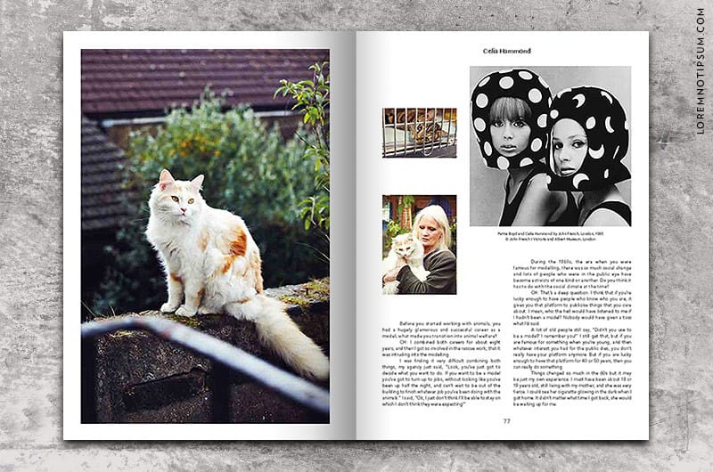 puss-puss-magazine_issue01_05
